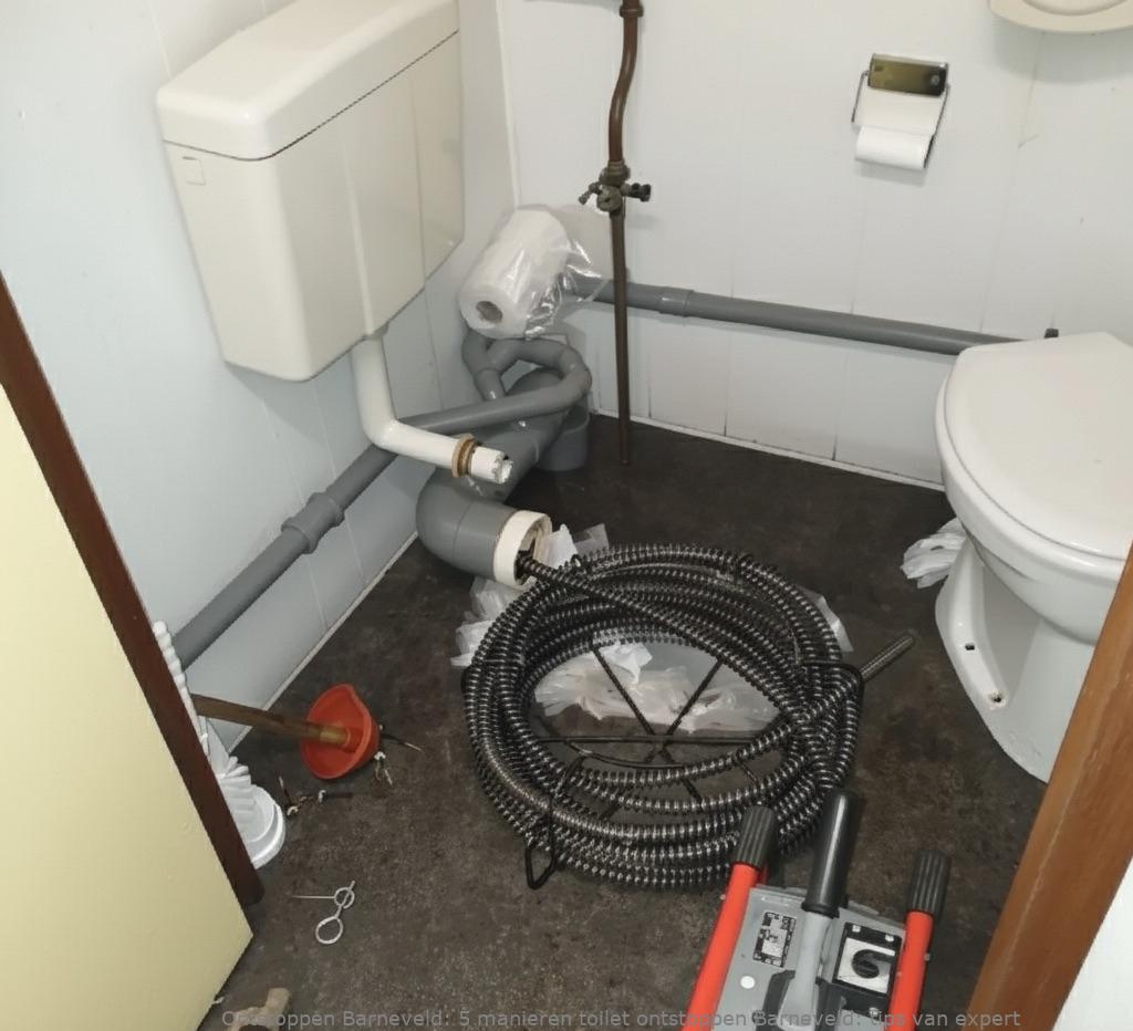 5 manieren toilet ontstoppen Barneveld: tips van expert