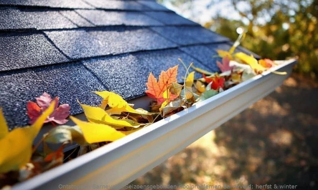 Seizoensgebonden rioolproblemen Barneveld: herfst & winter