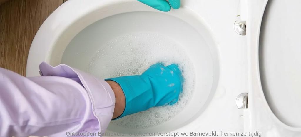 6 tekenen verstopt wc Barneveld: herken ze tijdig